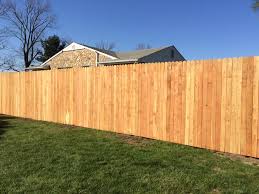 What is Stopping You from Enjoying Your Backyard in Peace? Discover Our Solution!